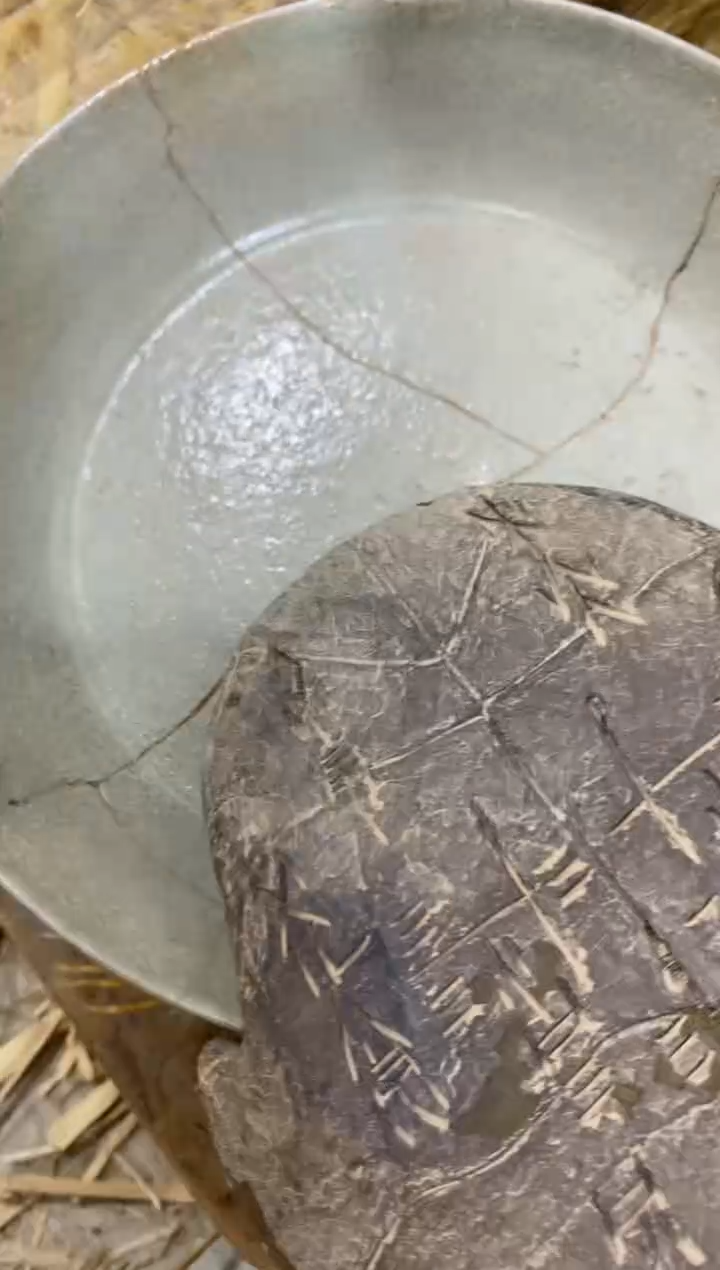 【闪购商品】摆件瓷瓷器器 瓷器摆件