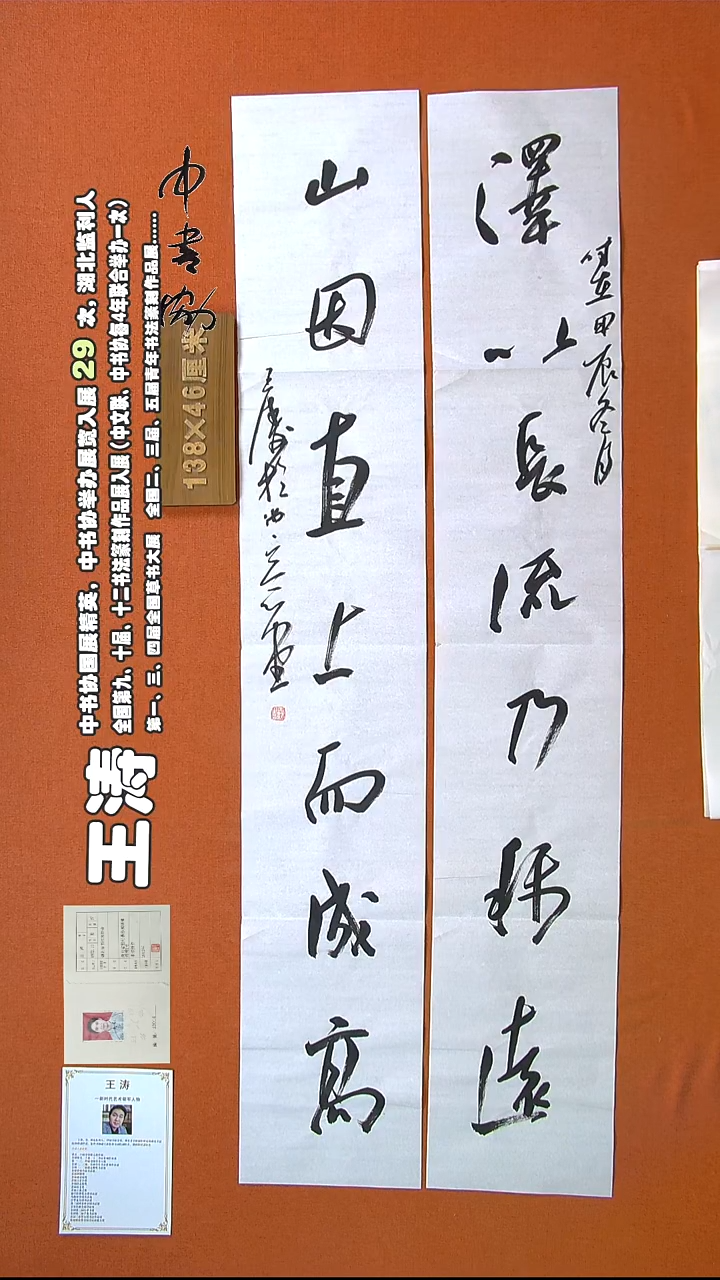 【闪购商品】书法398王涛书法作品