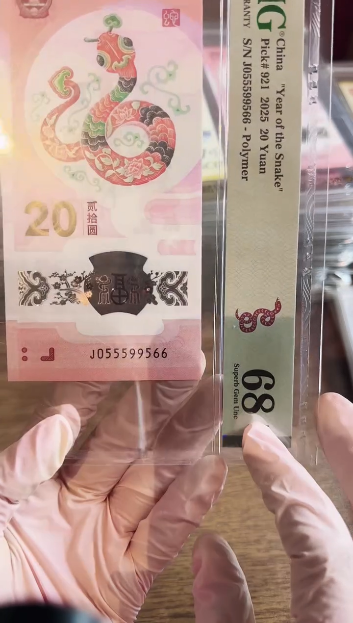 塑料2025蛇钞单张啊啊啊