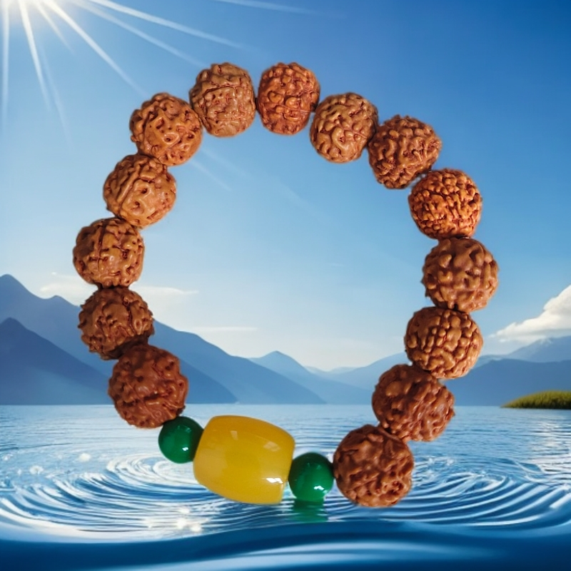 金刚菩提  手串  卡14mm     sz  565