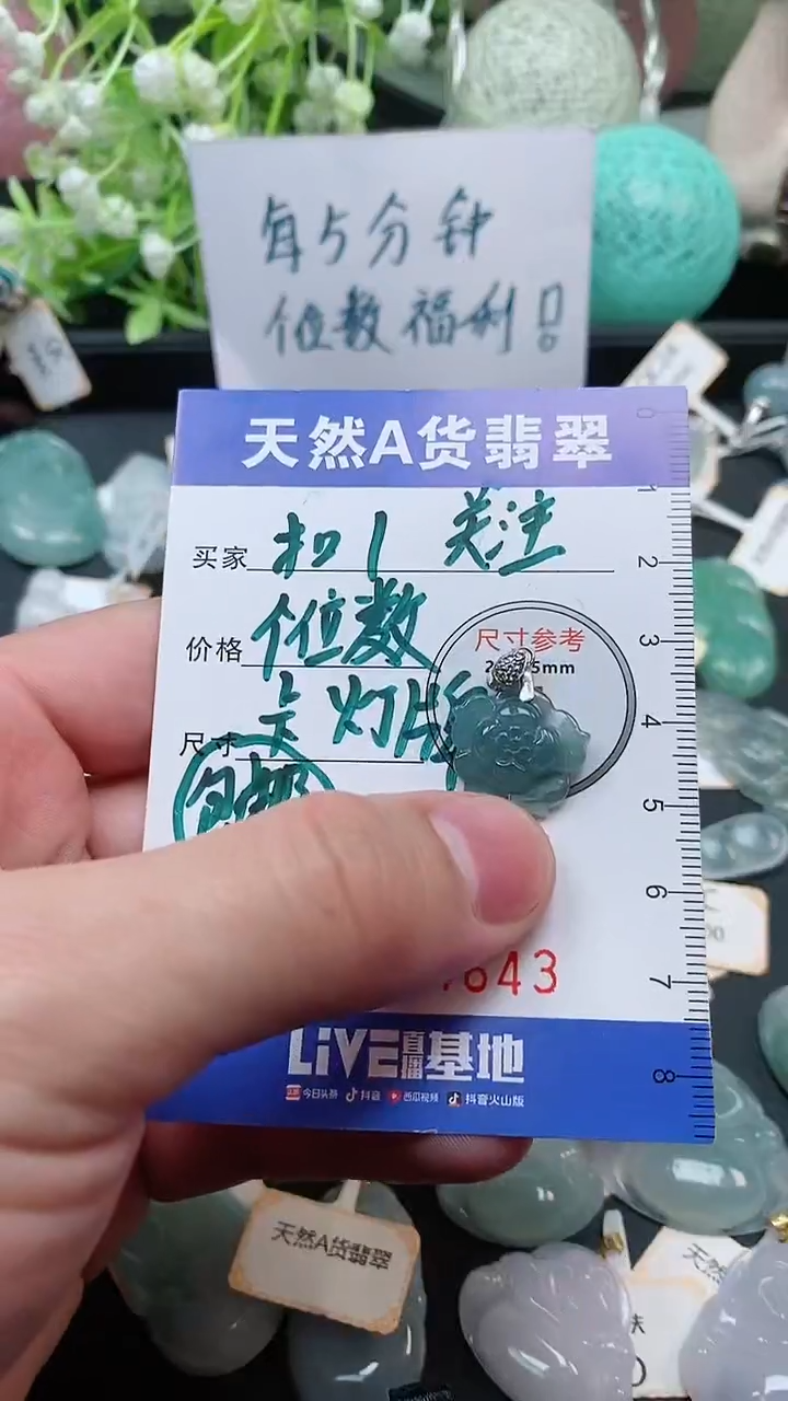 【闪购商品】翡翠颈饰未镶嵌天然A货翡翠一件