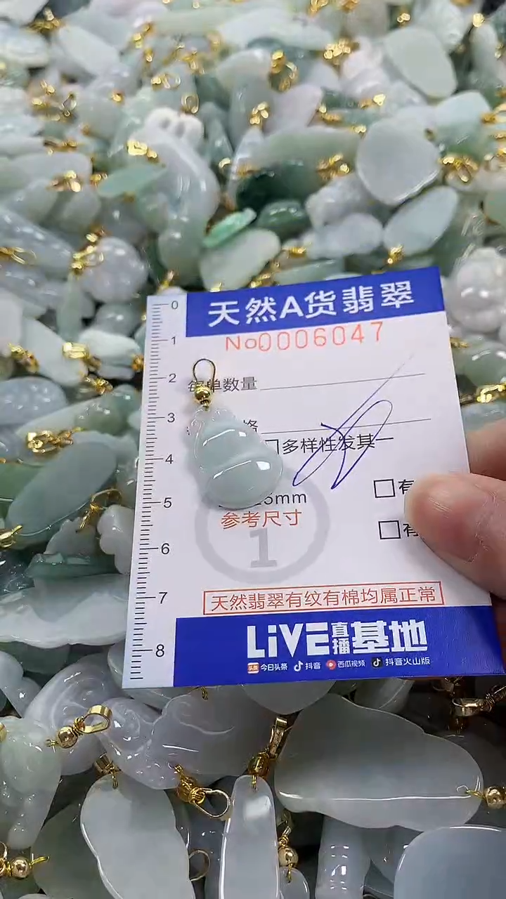 颈饰未镶嵌翡翠纯天然a货翡翠