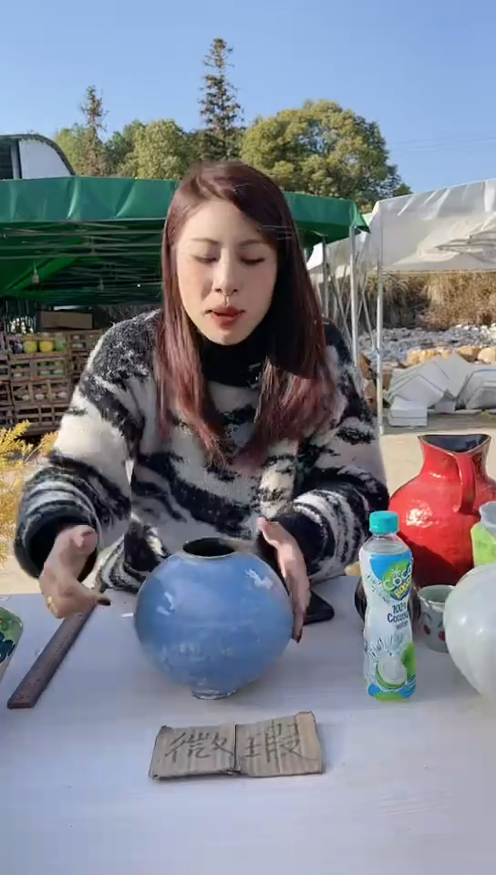 【闪购商品】陶瓷景德镇手工陶瓷微瑕介意勿拍