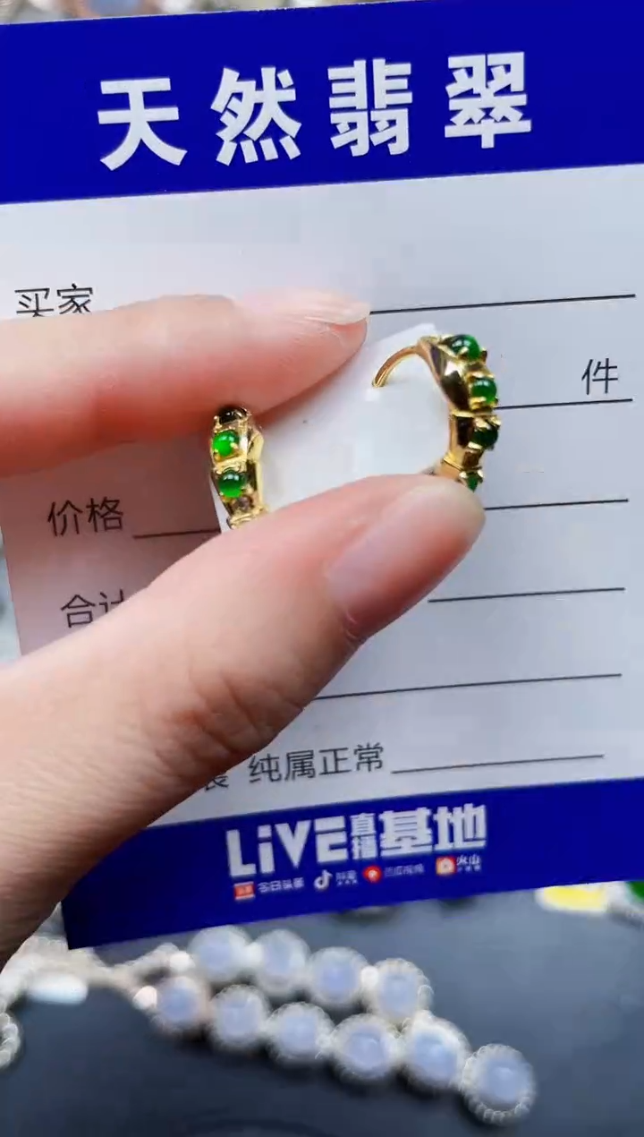 银S925镶嵌翡翠耳饰779
