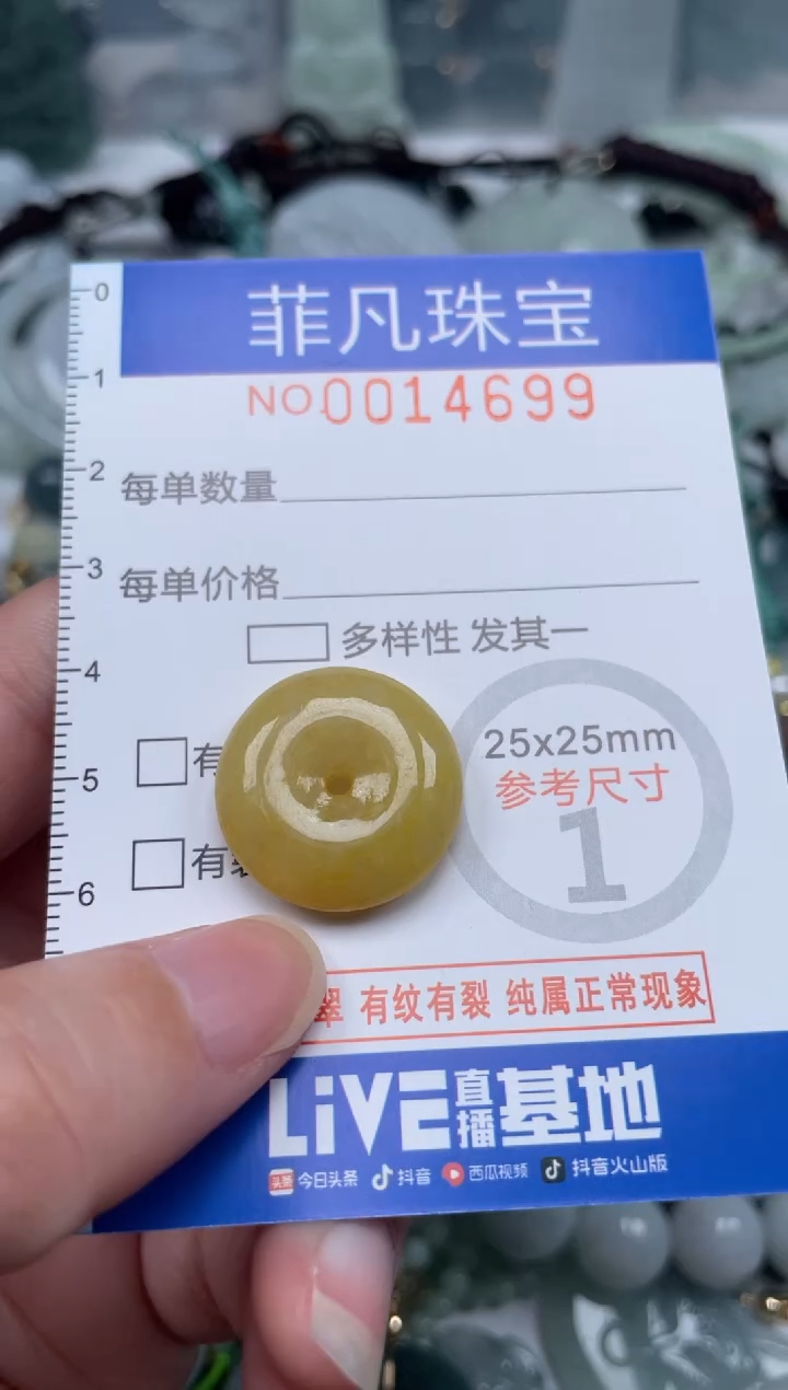 颈饰未镶嵌翡翠14699