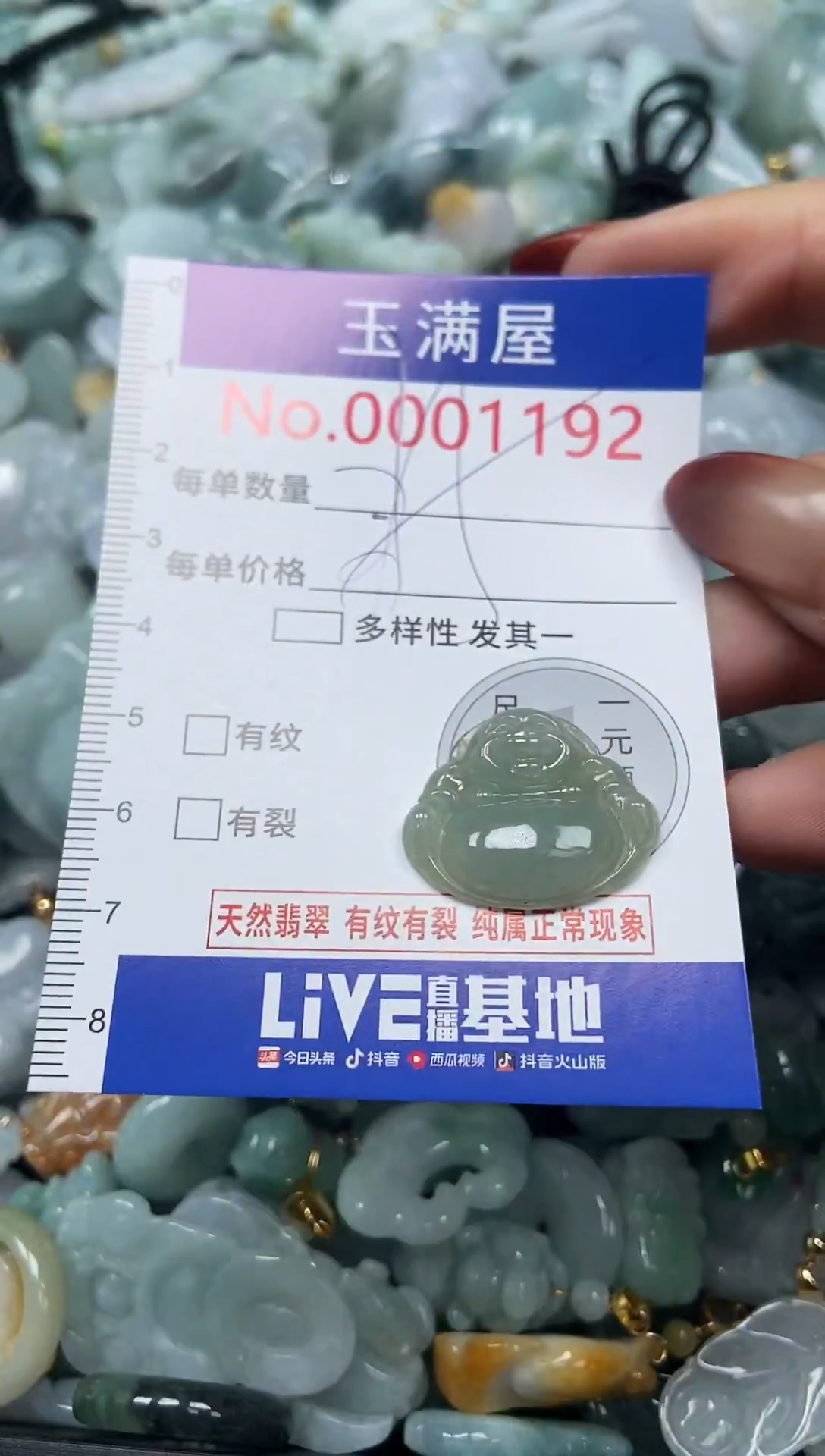 颈饰未镶嵌翡翠1192