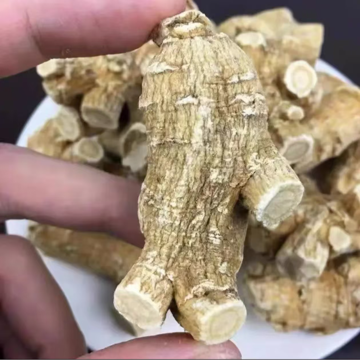 高高组合 西洋参 石斛 三七 白术 丹参 天麻