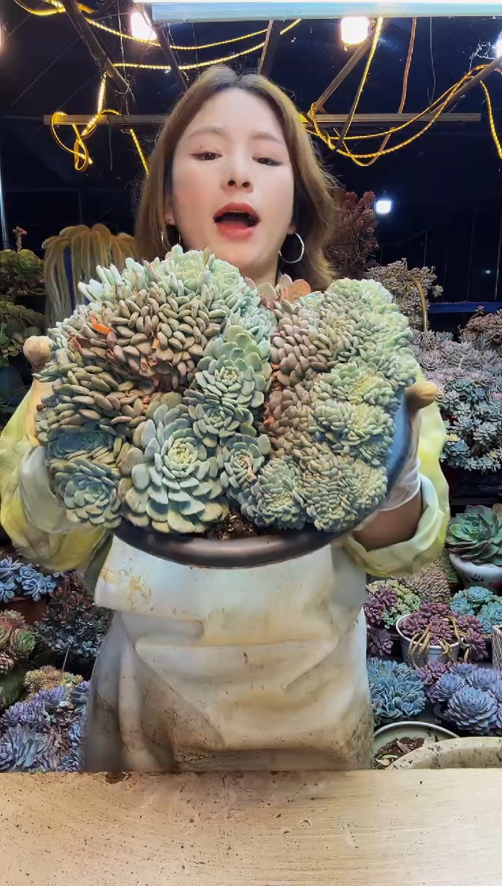 白胖子一物一拍脱土包邮