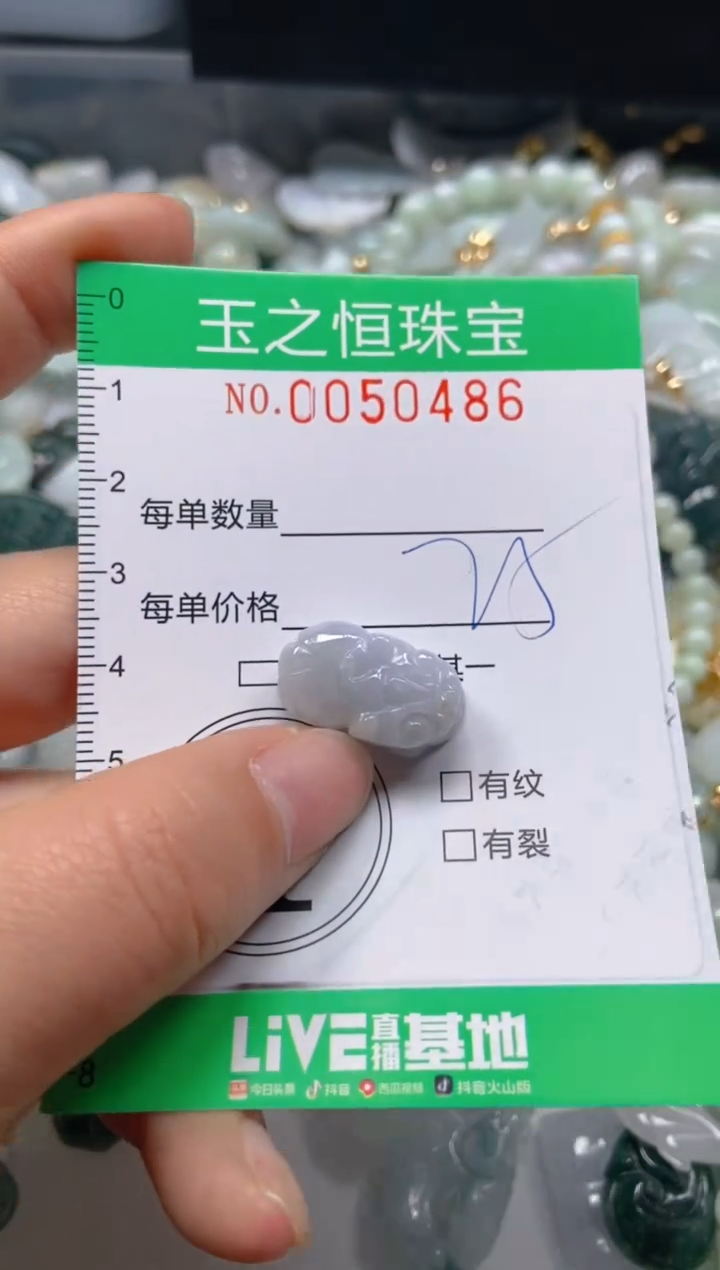 【闪购商品】翡翠颈饰未镶嵌闪购0050486