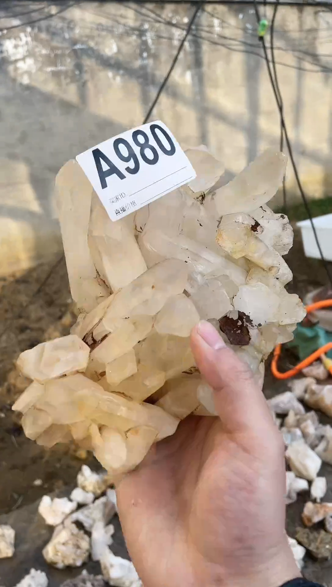 【闪购商品】水晶摆件未镶嵌水晶  980