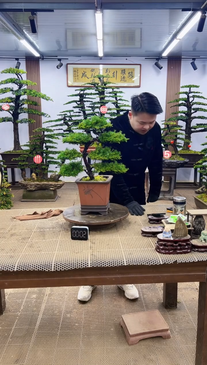 【闪购商品】0000000000