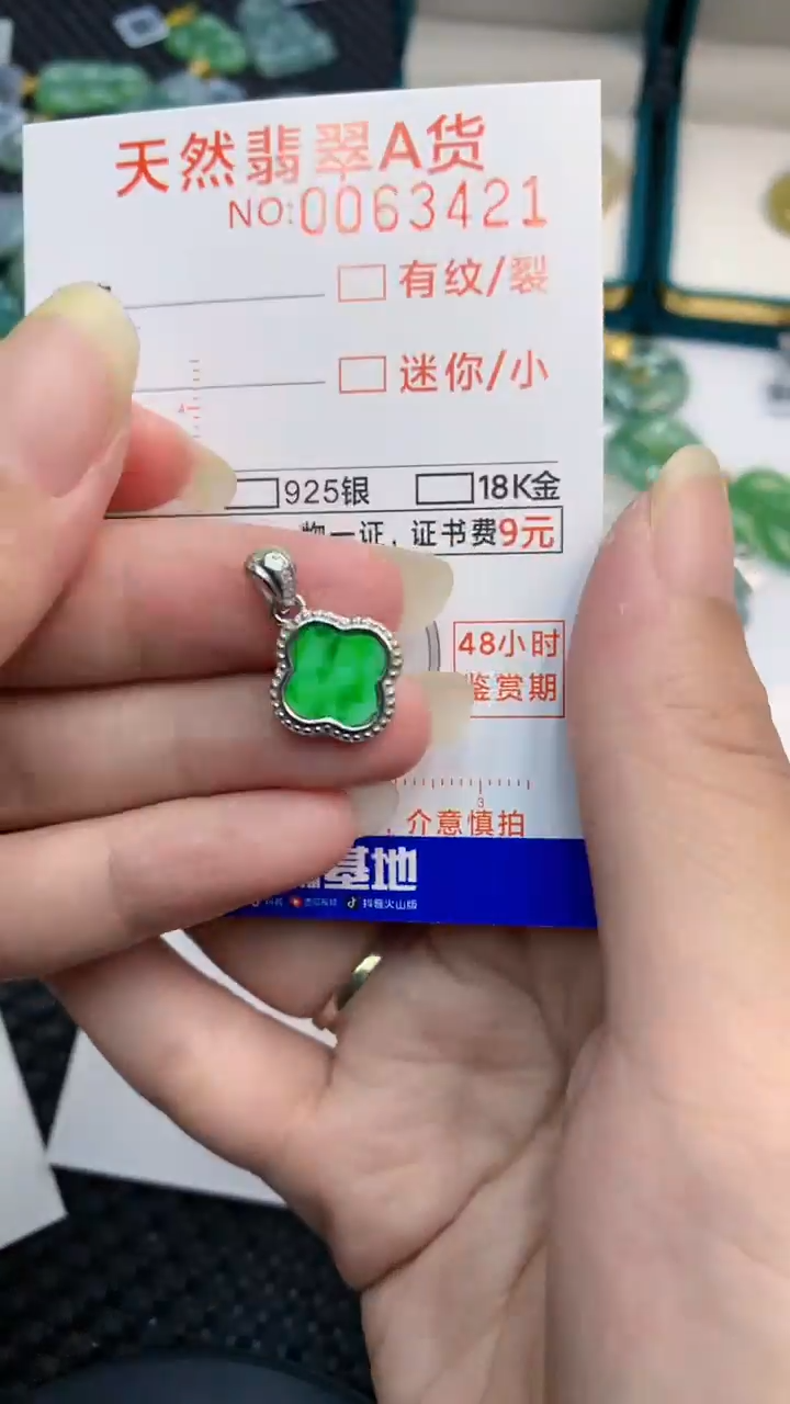 【闪购商品】翡翠颈饰银S925镶嵌            8