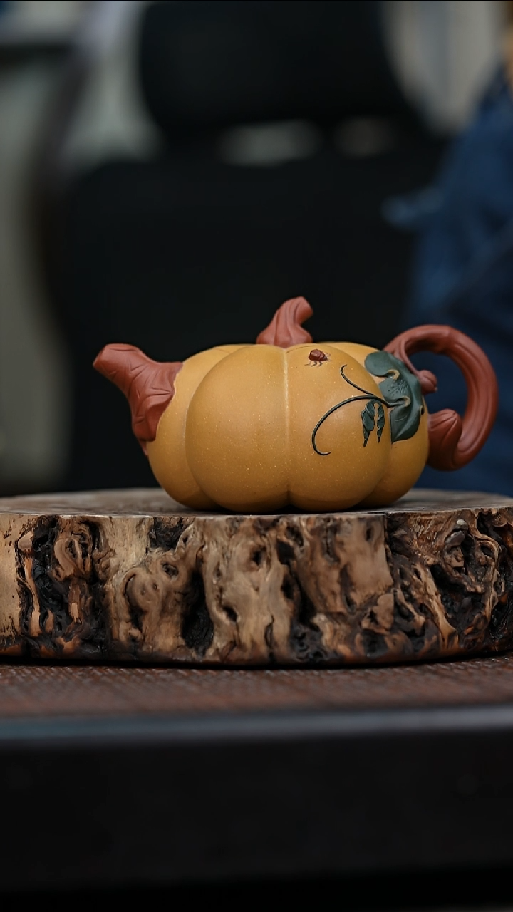 宜兴岁颐传砂原矿全手69