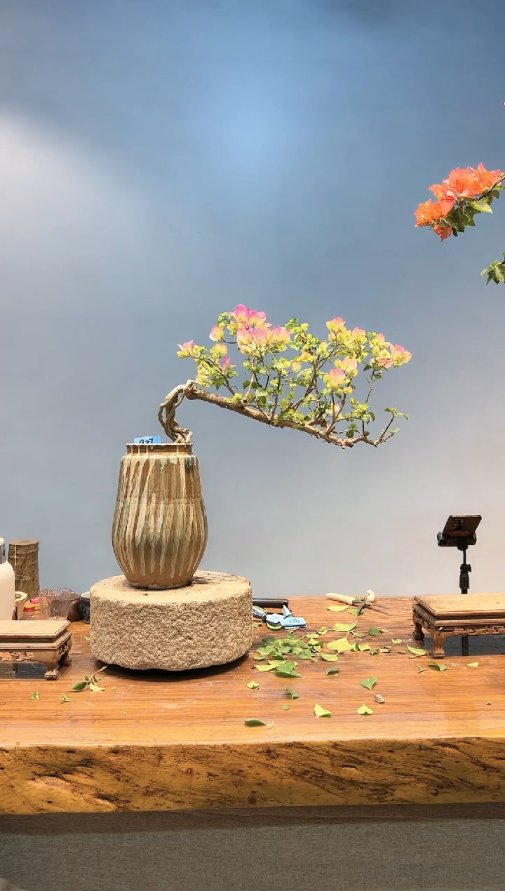 【闪购商品】AA927