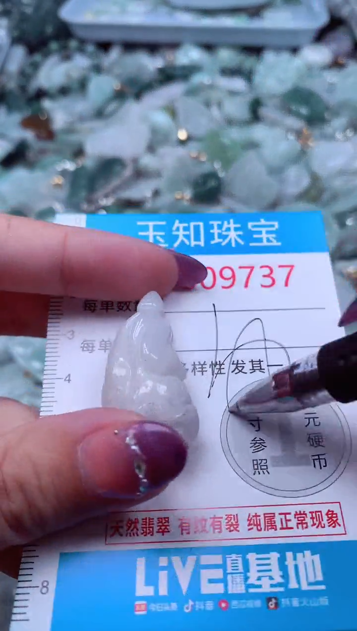 翡翠未镶嵌吊坠(不含链)9737