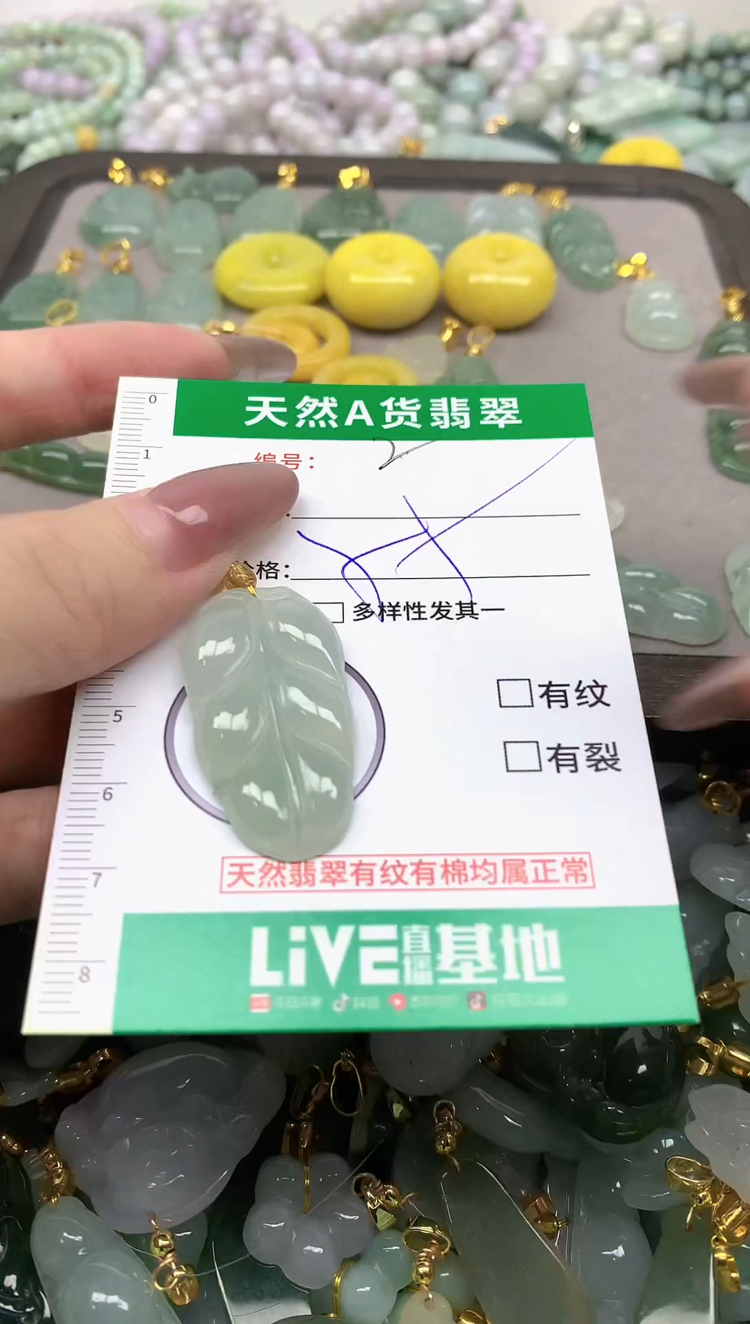 颈饰未镶嵌翡翠纯天然缅甸A货翡翠-2