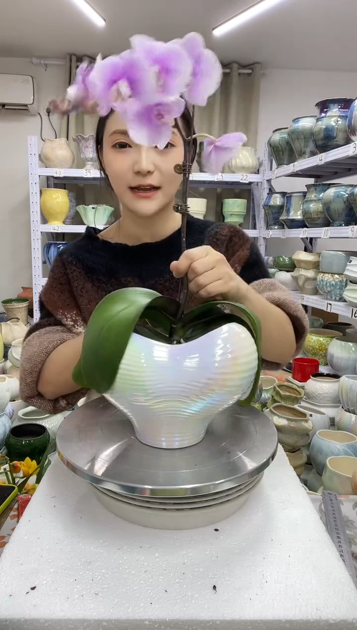 【12.22】花盆链接 高： 15 口：15