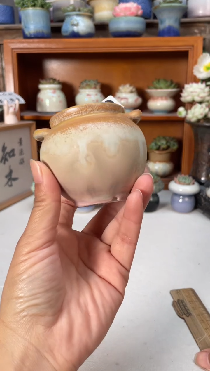 瓷片460小芳直播编号