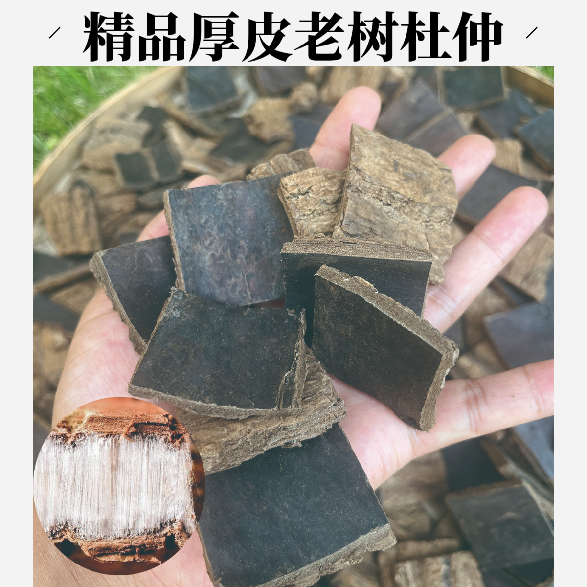 老树皮可煲汤泡酒泡水挑选精品厚皮片滋补新货英雄泡酒好料