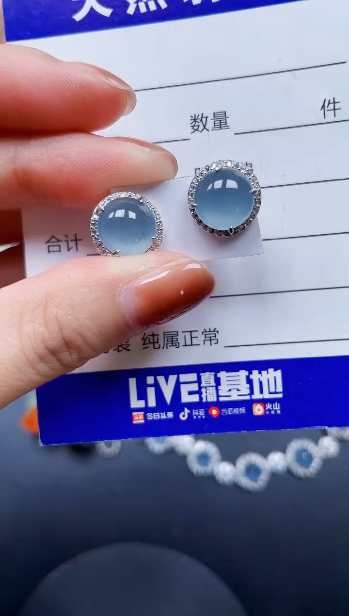 银S925镶嵌翡翠耳饰259