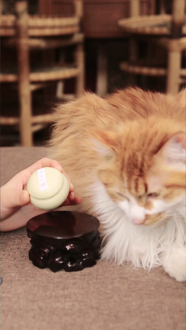 合香古早窖藏盈寂版闻思香香丸8g