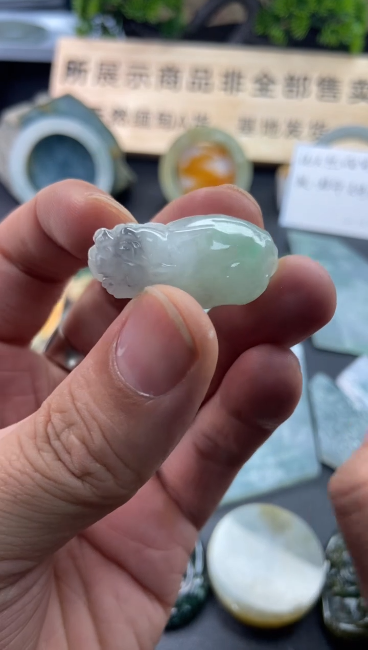 【闪购商品】翡翠颈饰未镶嵌片料14