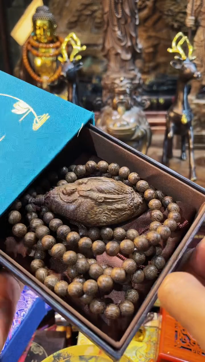 【闪购商品】非洲檀香其他2025专属链接便宜出了