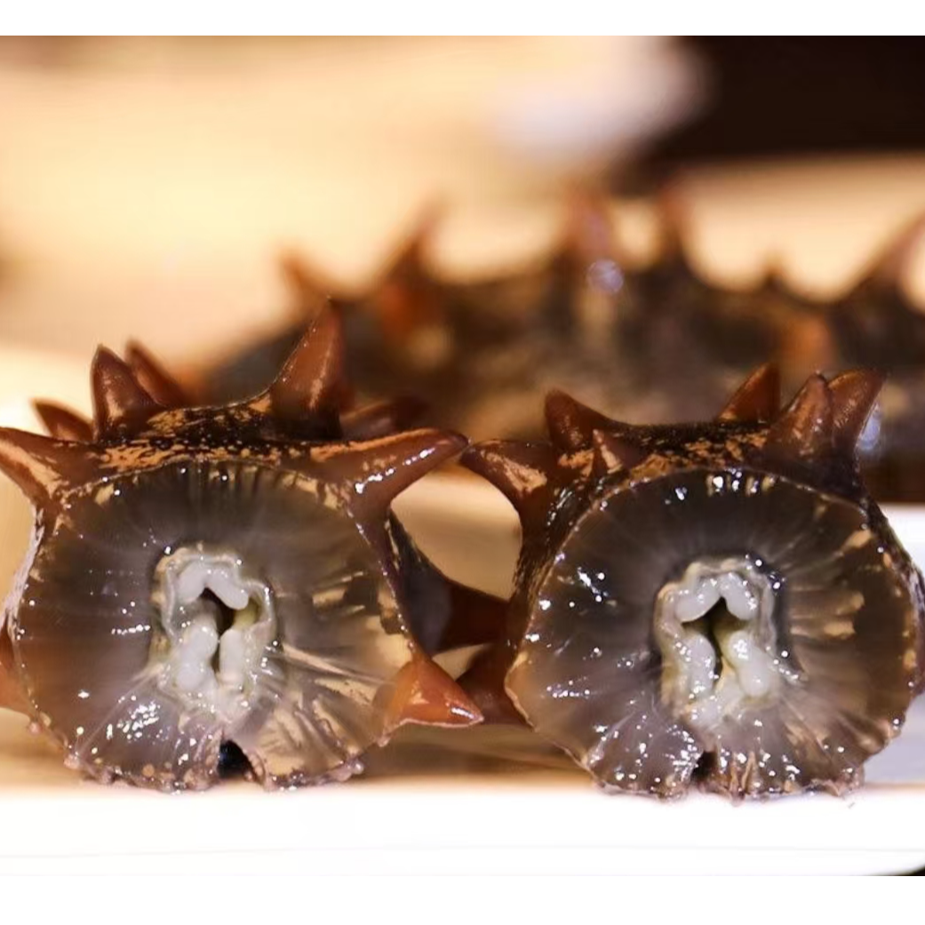 大连即食海参  一斤13只左右 单只真空免泡发 Q弹脆嫩