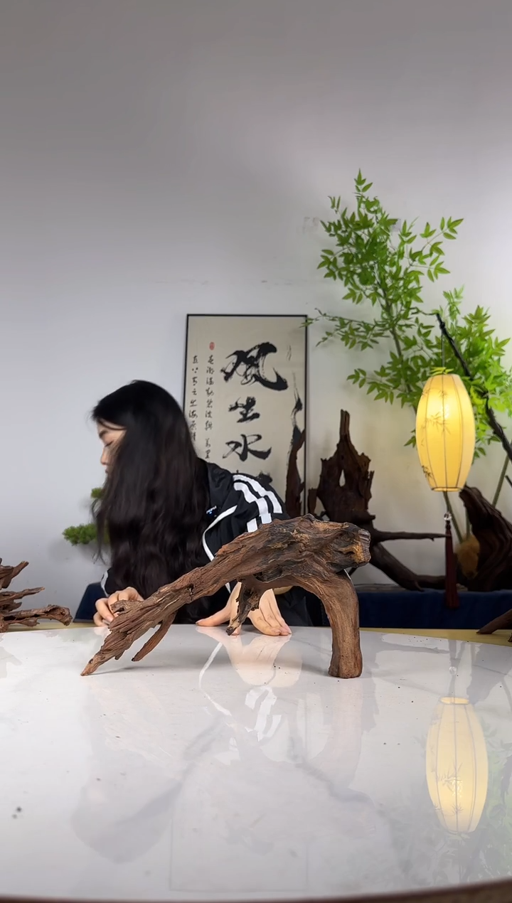 森**林拍这个定向编号74