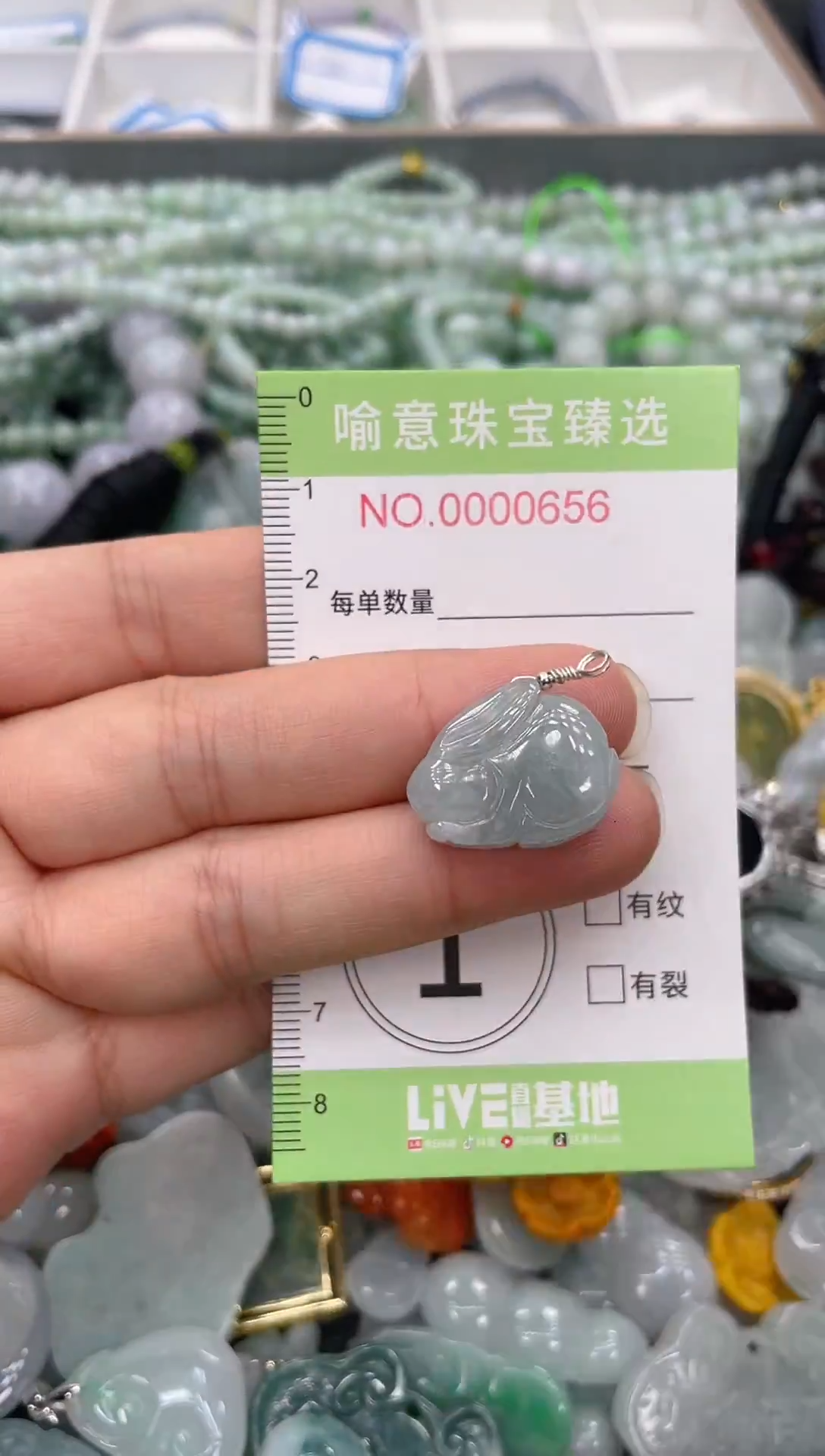 颈饰未镶嵌翡翠015