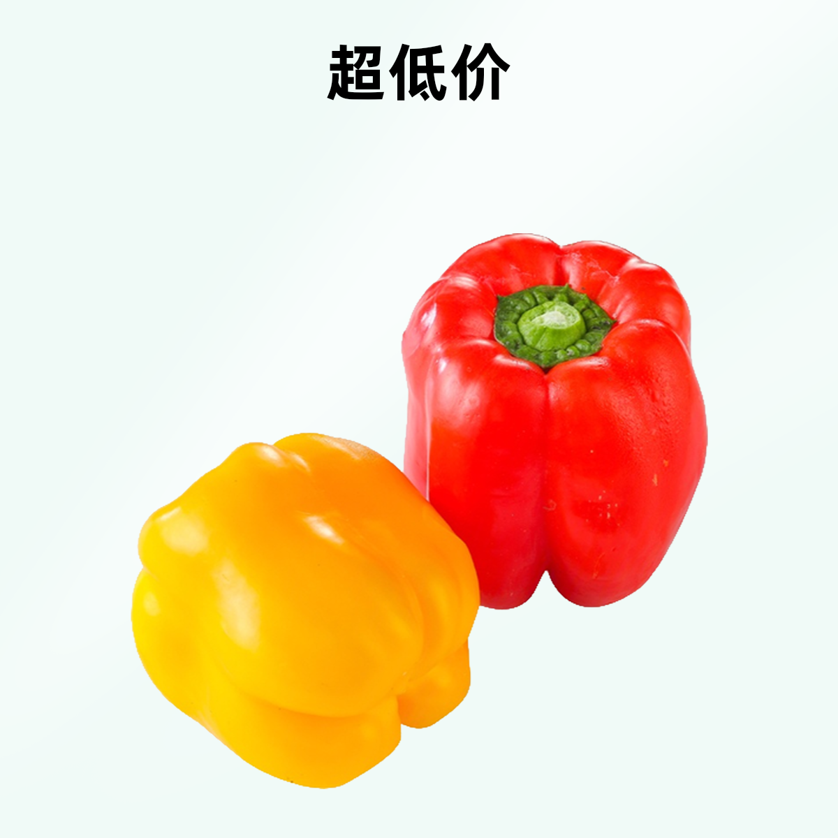 精品彩辣椒500g