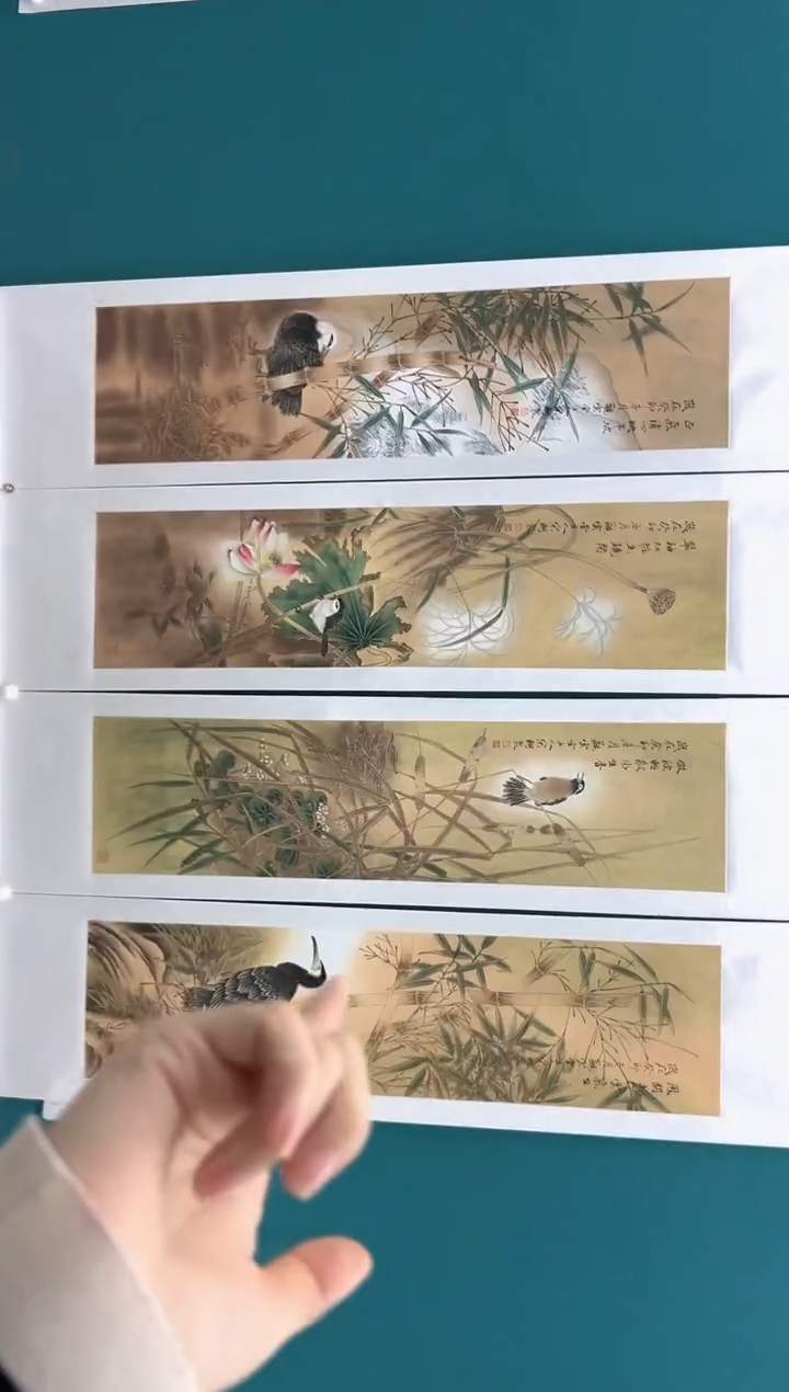 【闪购商品】绘画宋轲-16平尺-工笔花鸟