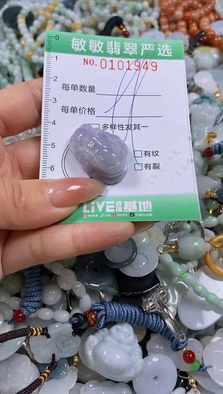【闪购商品】翡翠颈饰未镶嵌闪购链接0101949