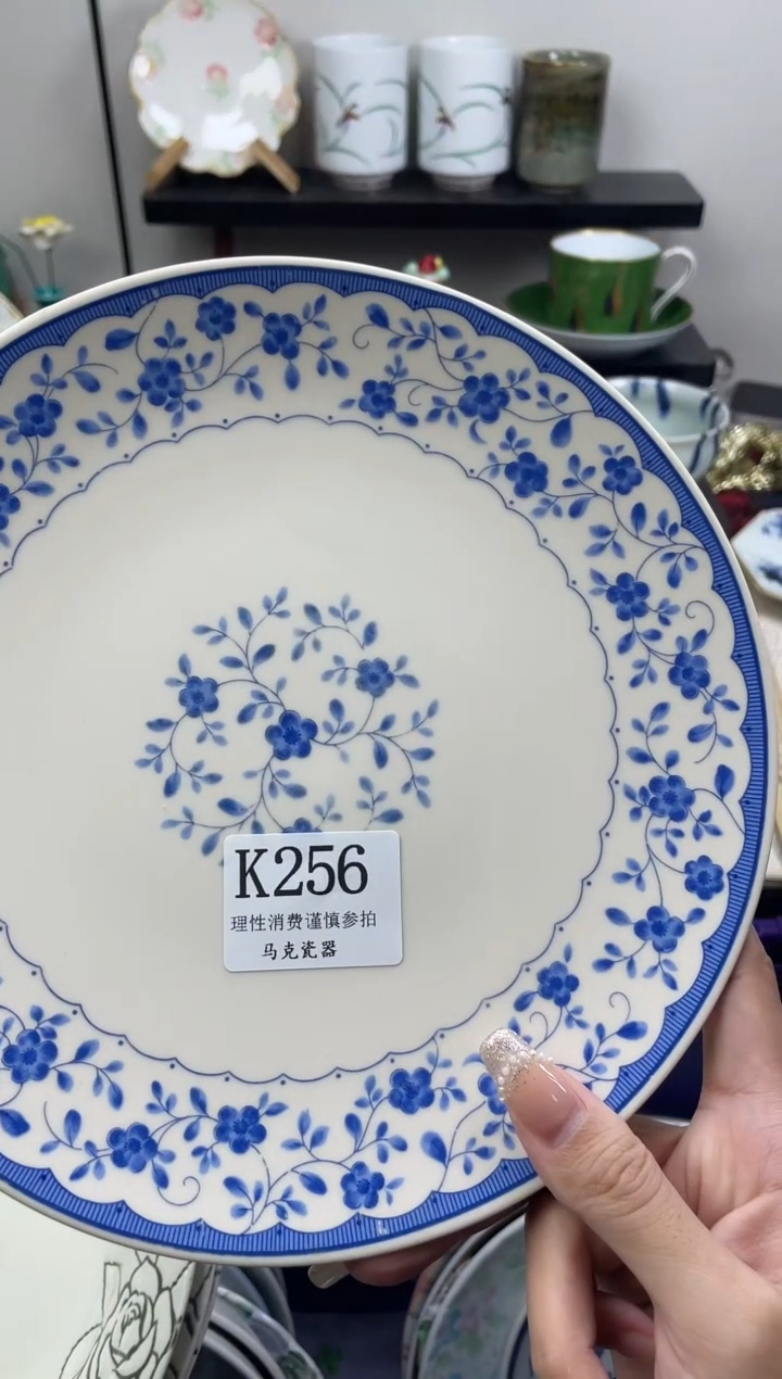 瓷片1*3                K256