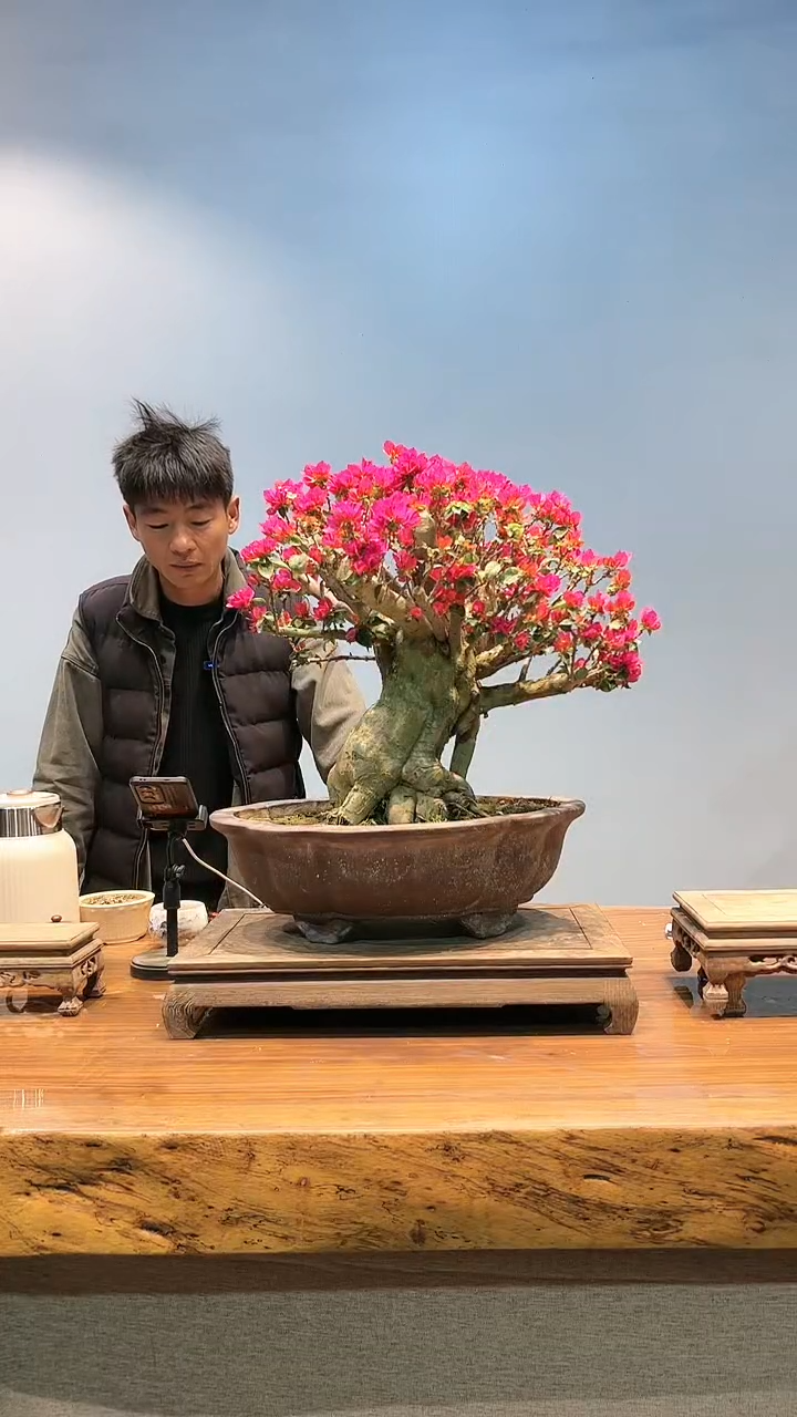 【闪购商品】AA902