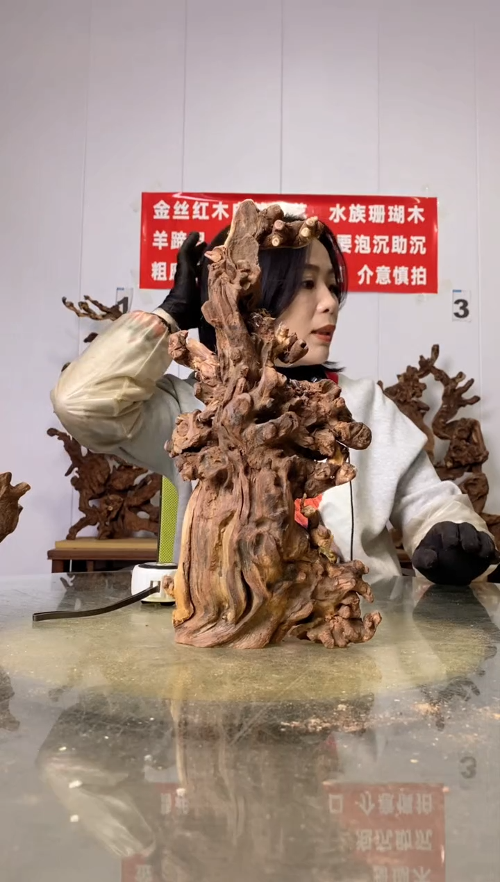 【闪购商品】木25金丝红木 羊蹄甲