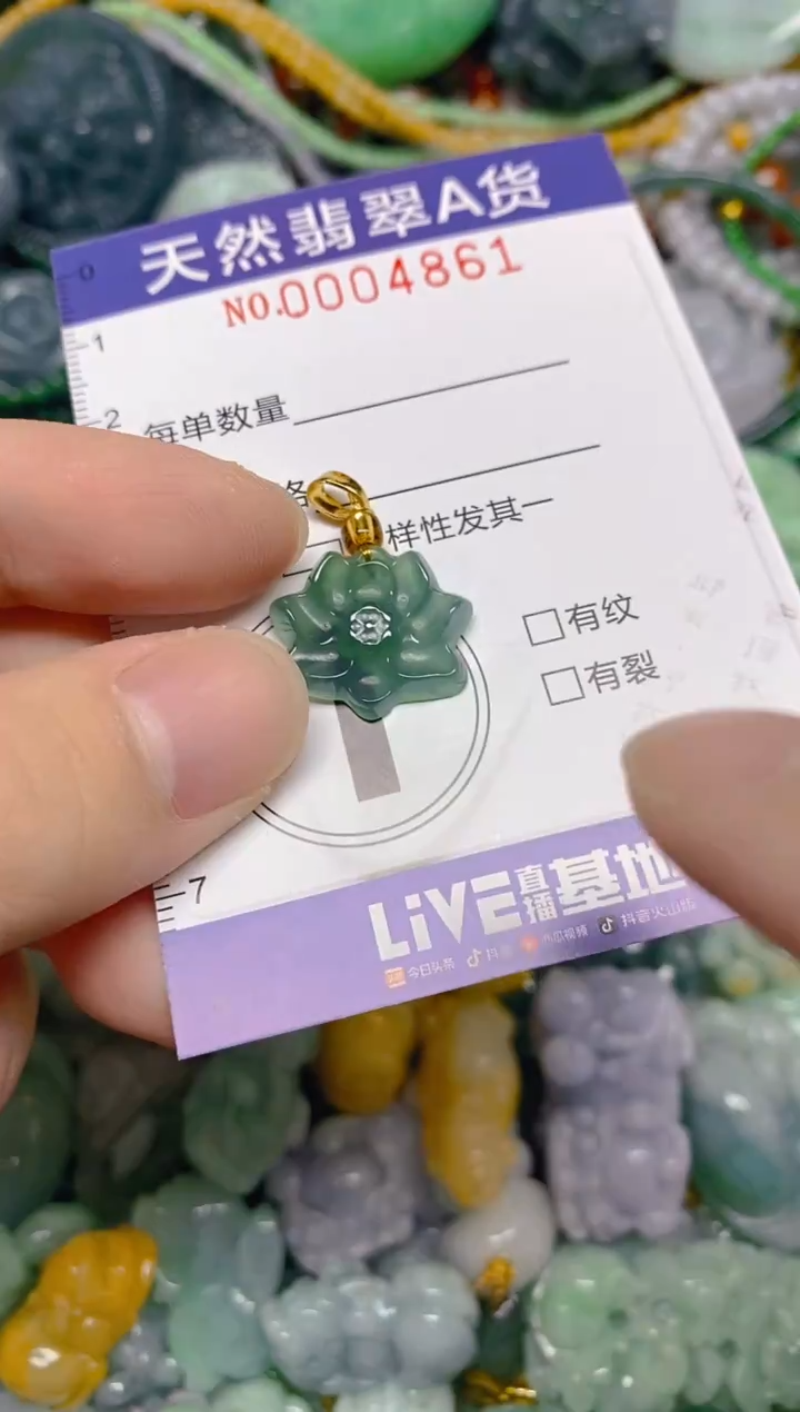 颈饰未镶嵌翡翠0004861多样性发其一