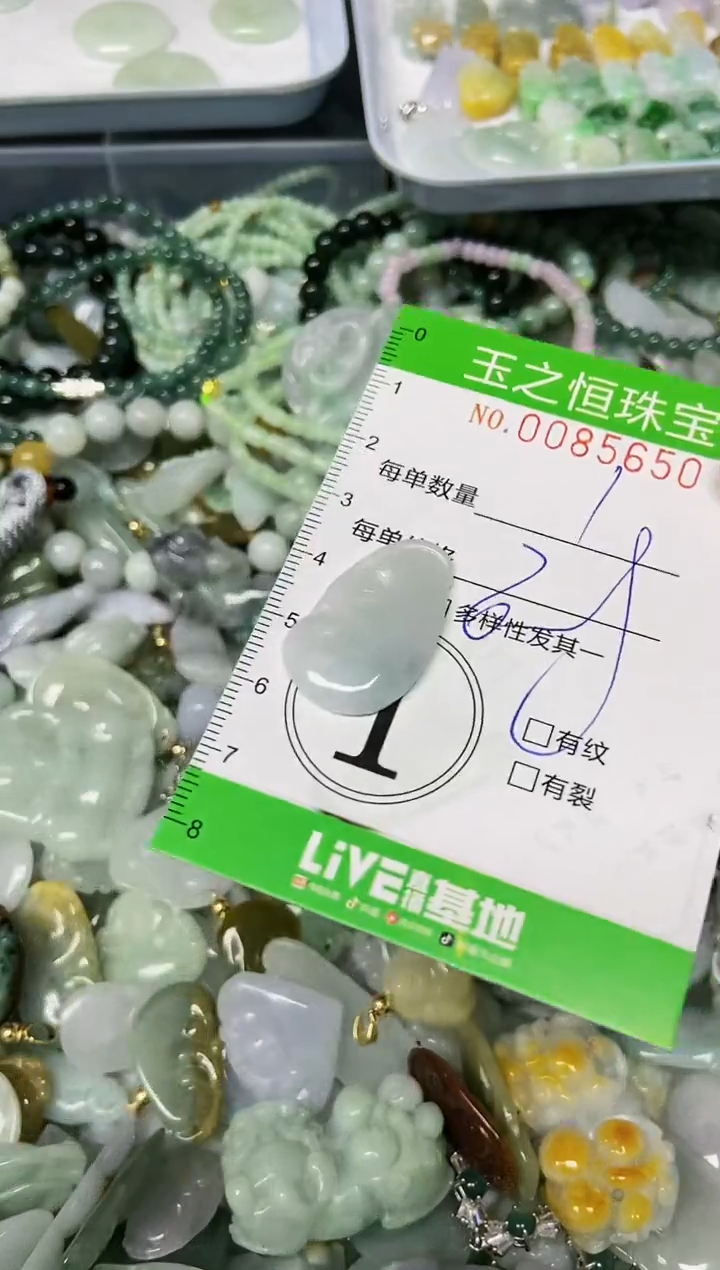 翡翠未镶嵌颈饰闪购0085650