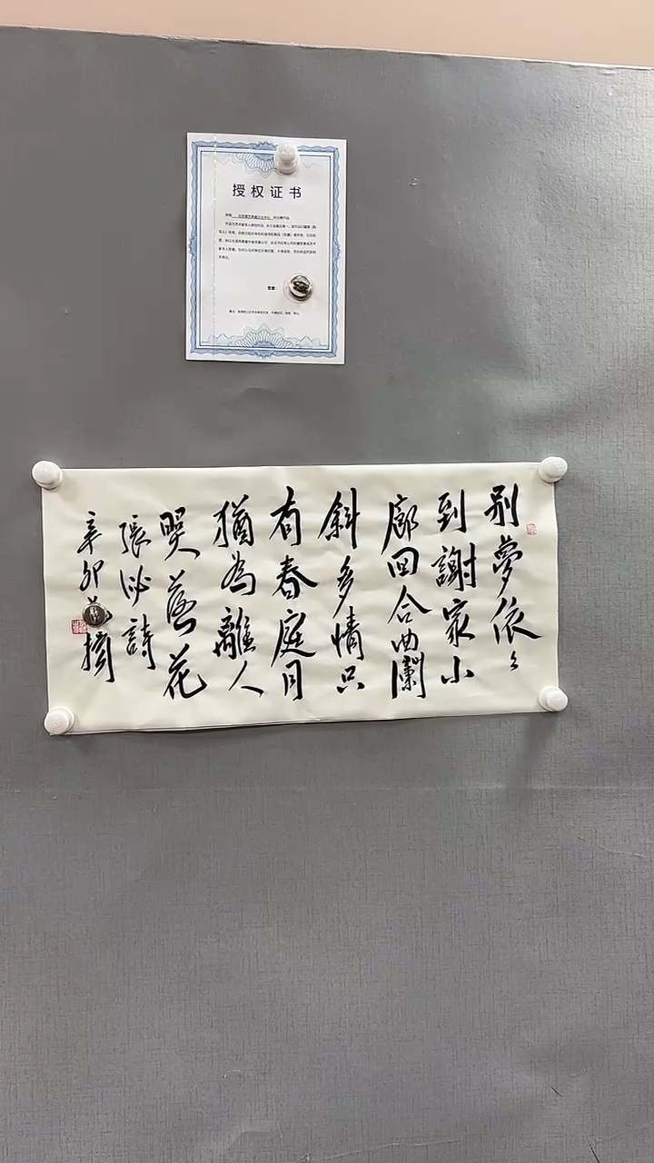 【闪购商品】书法雅艺典藏文化书法