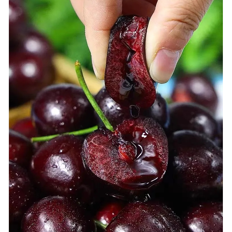 【海运车厘子】智利新鲜海运车厘子1J-3J级500克-2500克NO内附果径卡智利