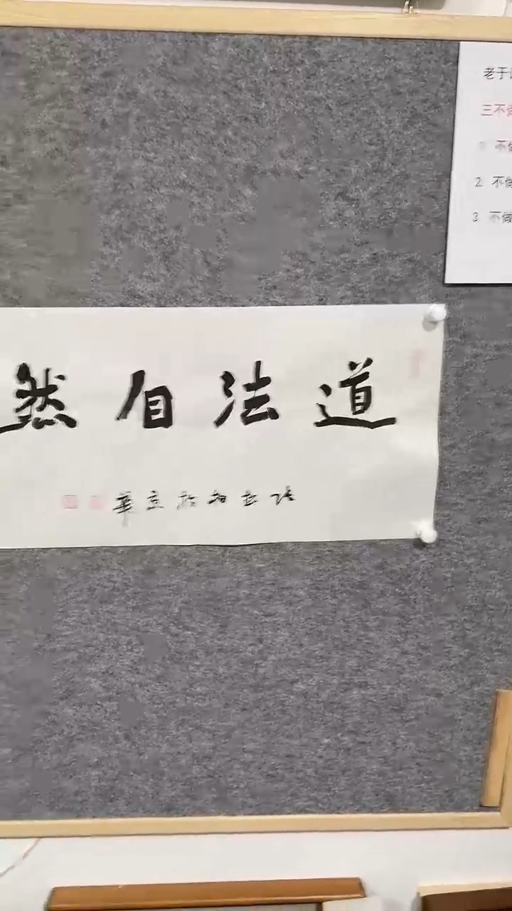 【闪购商品】书法张松柏精品书法