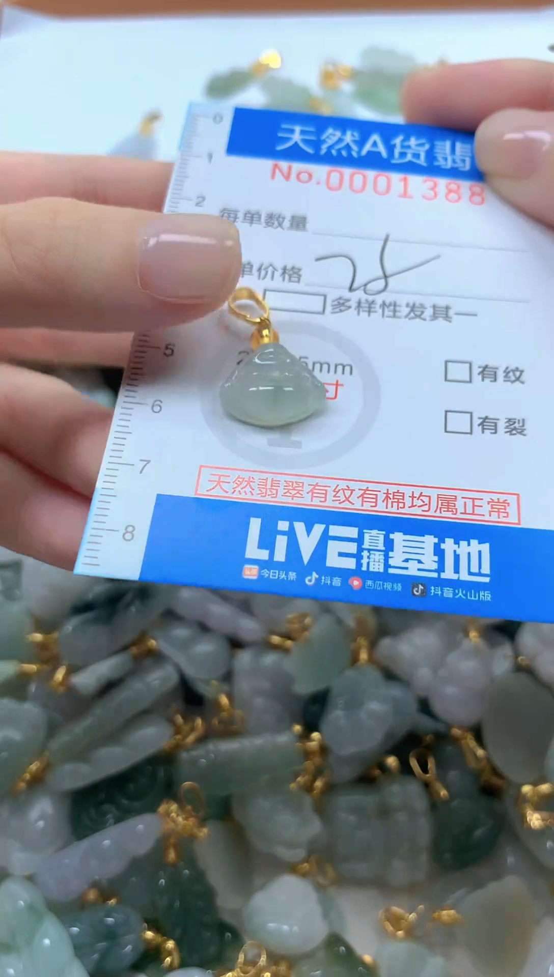 颈饰未镶嵌翡翠净货挂件-1388