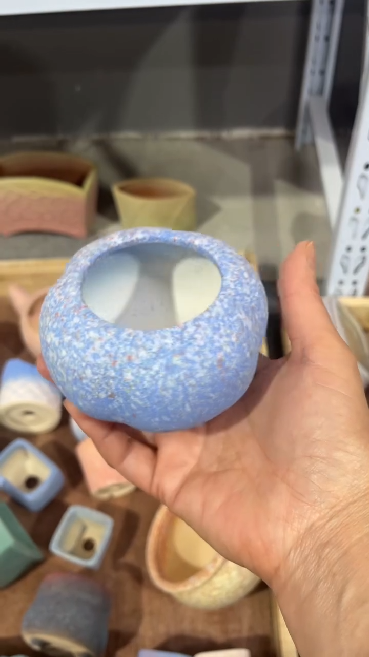 【闪购商品】红陶5*5