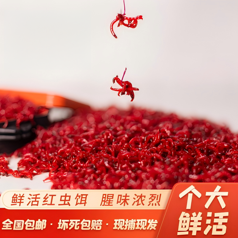 【春节倒计时！全面让利降价】鲜活红虫！死虫包赔！全国1-2天到货！2