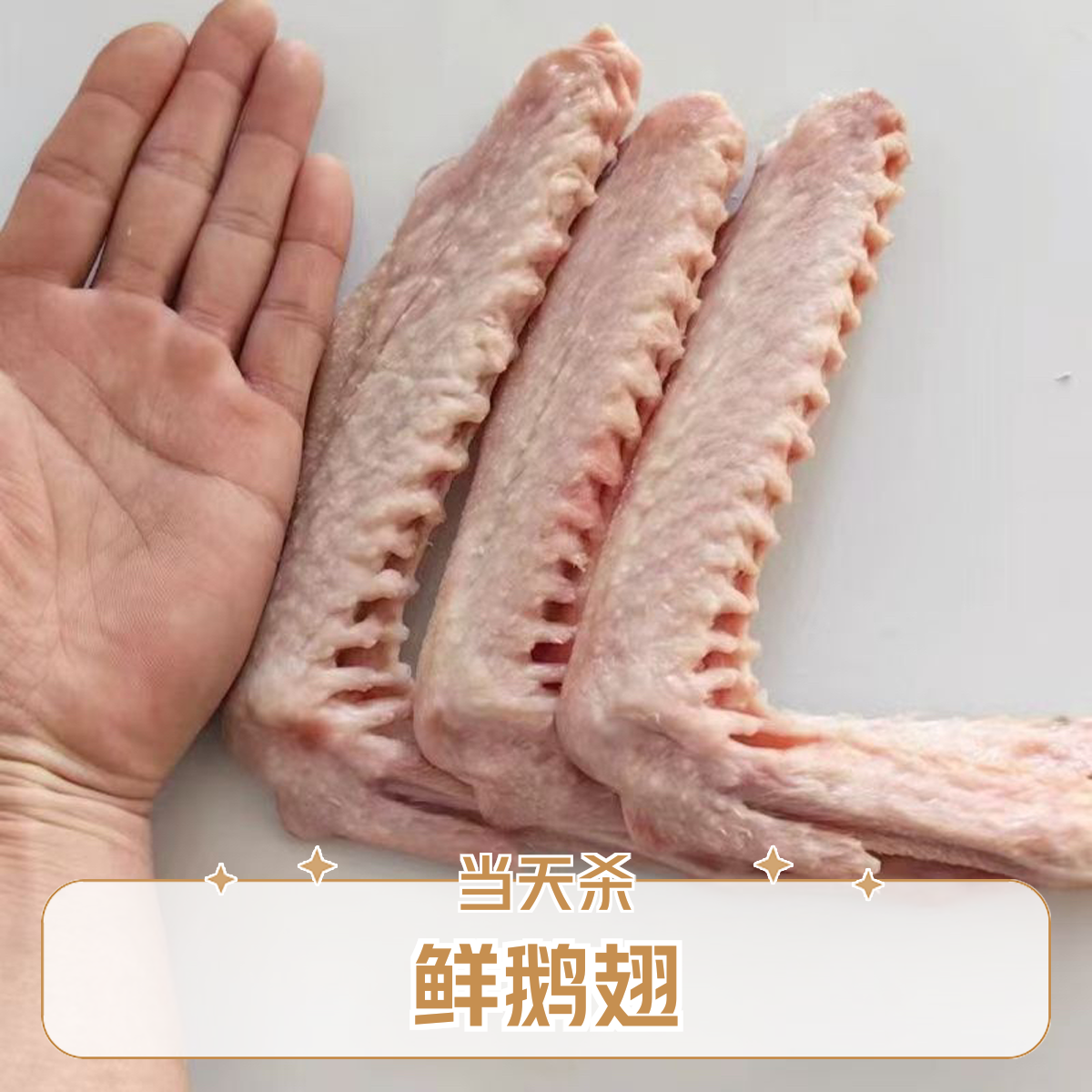 精选大鹅翅顺丰快递包邮