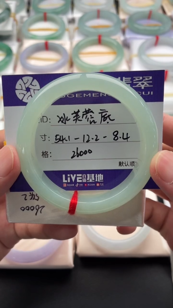 未镶嵌手镯翡翠冰芙蓉底