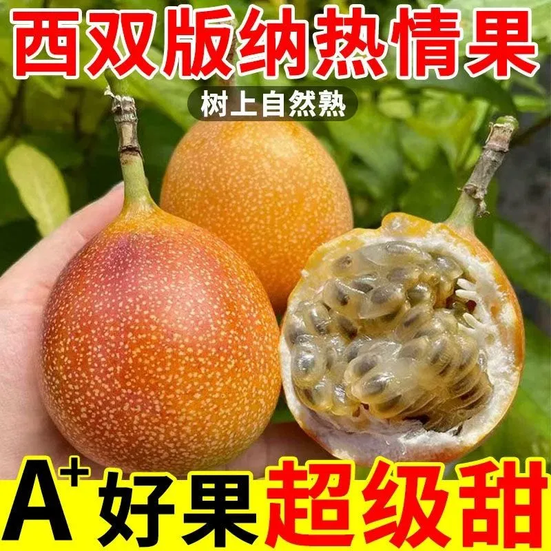 云南西双版纳热情果新鲜饱满多汁热带稀有水果满天星纯甜爱情果