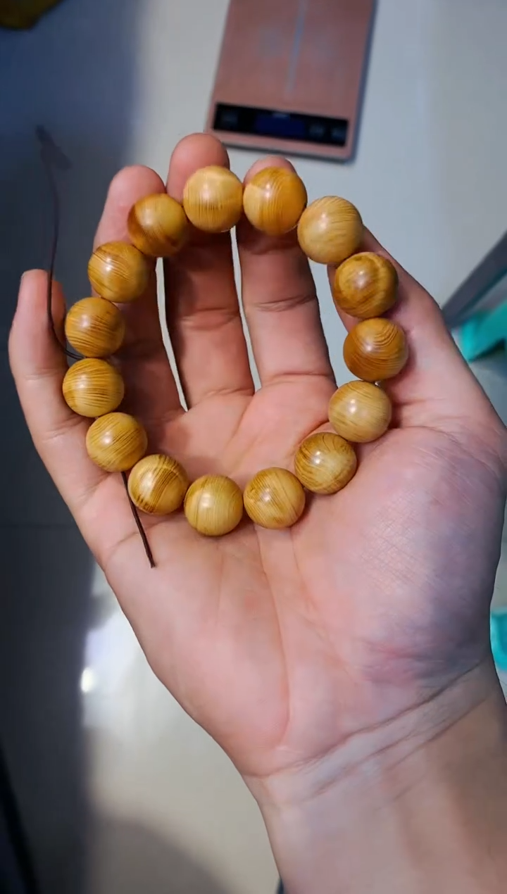 【闪购商品】柏木59崖柏崖柏崖柏崖柏