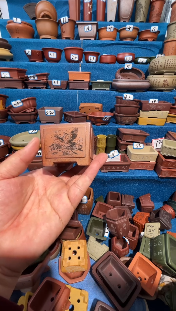 【闪购商品】紫砂紫砂花盆6*4.5