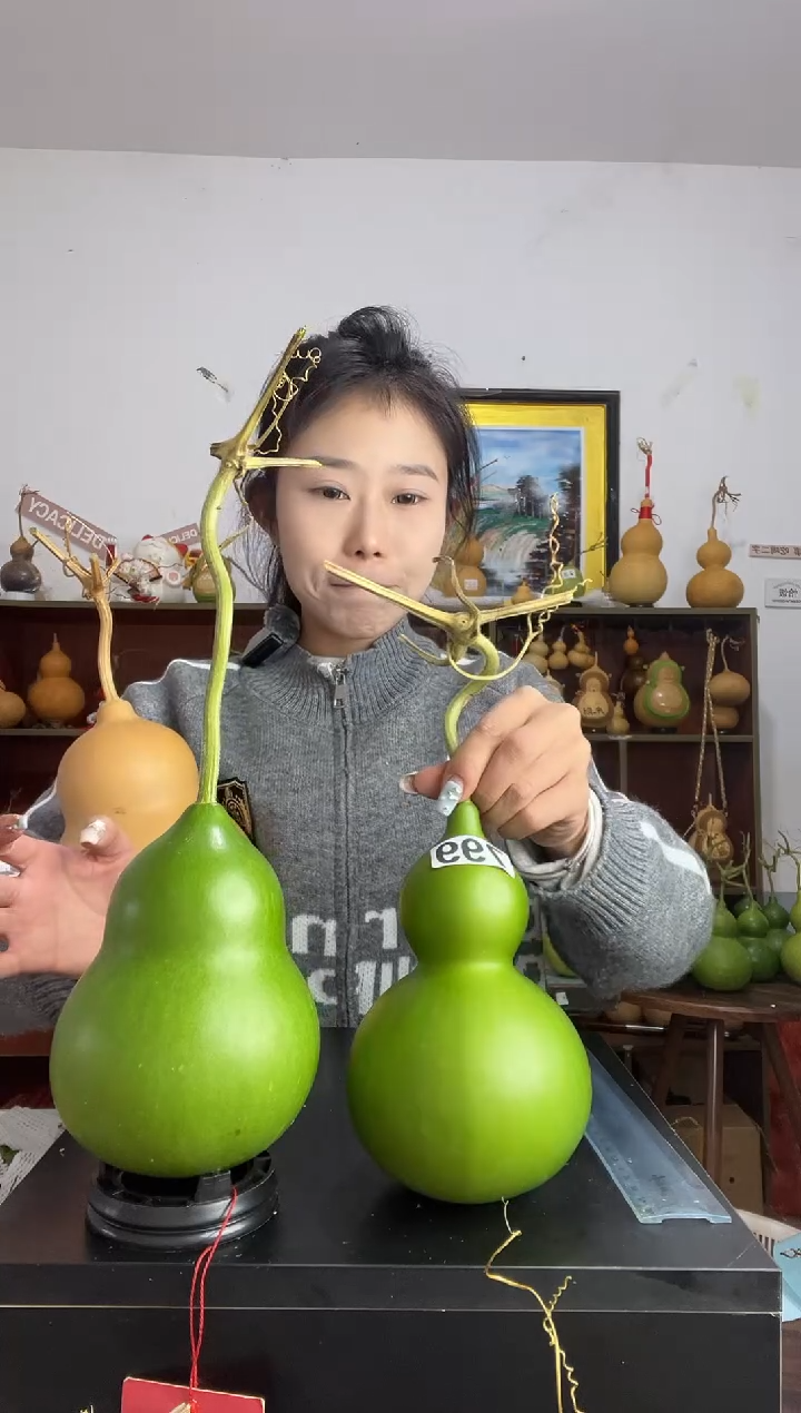 居*安799天然葫芦摆件 一物一拍龙头不保售后